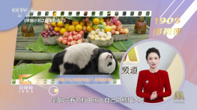 秋雨西丽卡